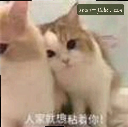 刘洋